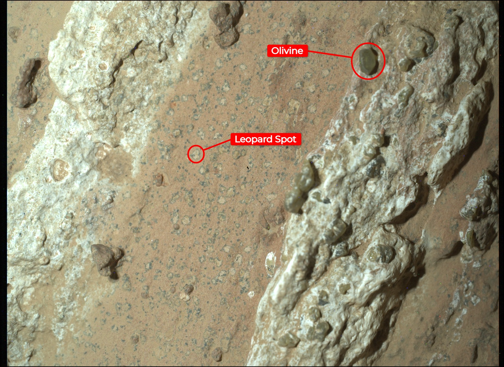 Biological Signatures in Jezero Crater (Credit: JPL)
