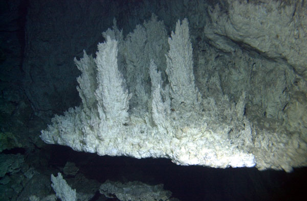 Carbonate chimneys of a deep-sea alkaline hydrothermal vent
